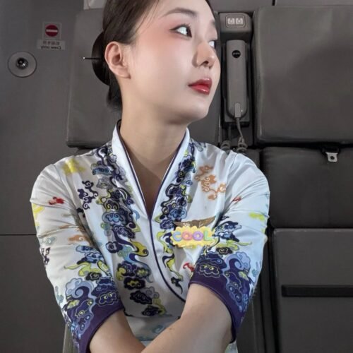 Flight attendant model