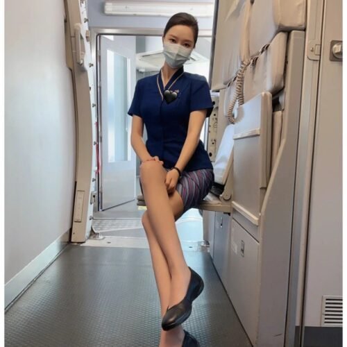 Flight attendant model