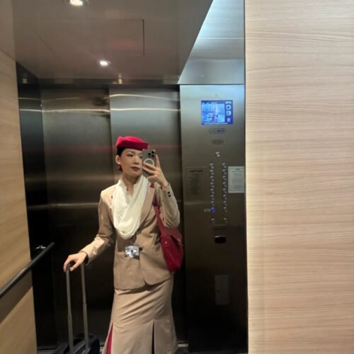 Flight attendant model