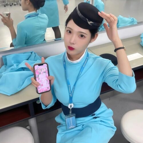 Flight attendant model